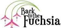 Back To The Fuchsia 328730 Image 1