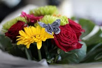 Blooms of Eastbourne   Florist and wedding flowers 333630 Image 0
