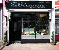 Blooms of Eastbourne   Florist and wedding flowers 333630 Image 1