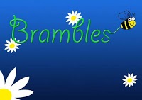 Brambles Floristry 335745 Image 7