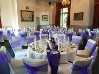 Chair Covers by Louise 334262 Image 3