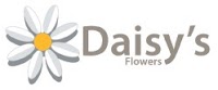Daisys Flowers 328558 Image 0