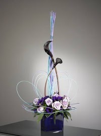 Fantail Designer Florist Sheffield 330633 Image 4