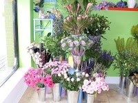 Flowers at 166 Florist Bournemouth 331026 Image 1