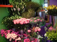 Flowers at 166 Florist Bournemouth 331026 Image 2