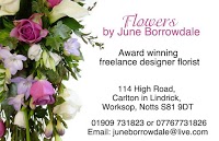 Flowers by June Borrowdale 331123 Image 0