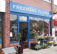 Freemans Flowers 331968 Image 0