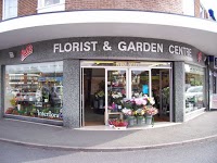 Halls Florist and Garden Centre 327845 Image 2
