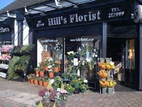 Hills Florist 335952 Image 0