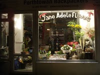 Jane Adele Flowers 328564 Image 1