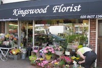 Kingswood Florist 330618 Image 0