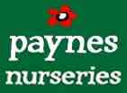 Paynes Nurseries (Towcester) Ltd 335232 Image 5