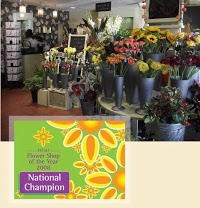 Penelope Flowers   Belfast Florist 335413 Image 8