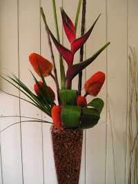 Pick a Lily Florists 334712 Image 0