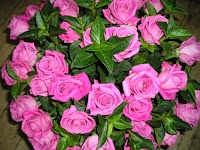 Pick a Lily Florists 334712 Image 7