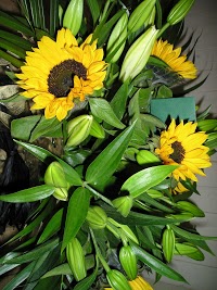 Pick a Lily Florists 334712 Image 8