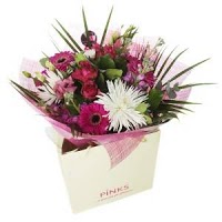 Pinks Florists 335285 Image 2