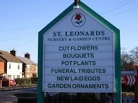 St Leonards Nurseries and Garden Centre 333123 Image 4