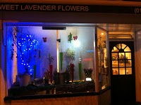 Sweet Lavender Flowers 331451 Image 9