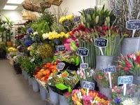 The Brighton Flower Company (formerly Flower City) 333174 Image 0