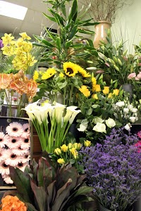 The Flower Shop 333257 Image 7