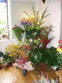 The Flower Studio Ltd 328595 Image 2