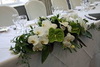 Amaryllis Wedding Florist 330217 Image 0