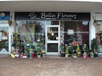 Bella Flowers 327243 Image 0