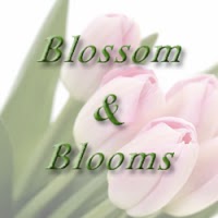 Blossom and Blooms 330646 Image 0