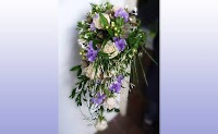 Bluebell Floristry 330056 Image 2