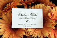 Chelsea Wild Flowers 334280 Image 9