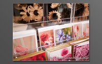 Cottage Garden Flower Shop 335099 Image 7