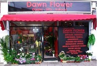 Dawn Flower 330000 Image 0