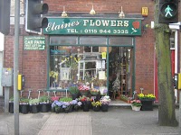 Elaines Flowers 328964 Image 0