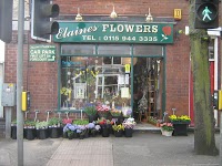 Elaines Flowers 328964 Image 4