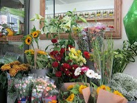 Floral Shop 335117 Image 3