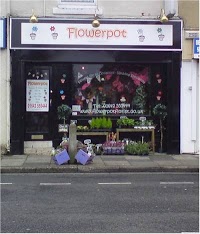 Flowerpot 329115 Image 0