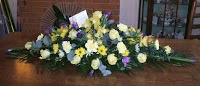 Flowers For All Occasions 329079 Image 3