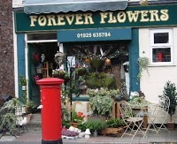 Forever Flowers 327018 Image 0