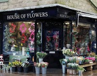 House Of Flowers 333719 Image 0