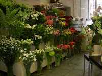 House of Flowers 331420 Image 0