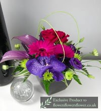 Lansdowne florists 328240 Image 3
