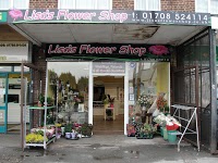 Lisas Flower Shop 332228 Image 0