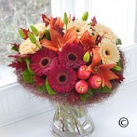 Occasionally Yours Florist Sanderstead 327464 Image 1