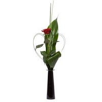 Occasions florist Oldham town center 332288 Image 0