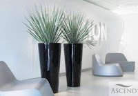 Office Plant Displays UK 328024 Image 4
