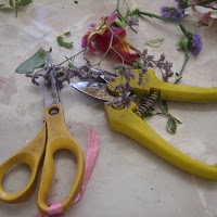 Offshoot Floristry Workshops @ Isobel the Florist 334527 Image 1