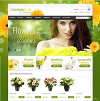 Orchids Florists Limited 329749 Image 0