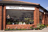 Passiflora 333271 Image 0