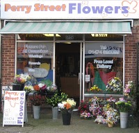 Perry Street Flowers 335780 Image 0